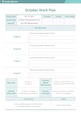 Teal Professional Work Plan Document