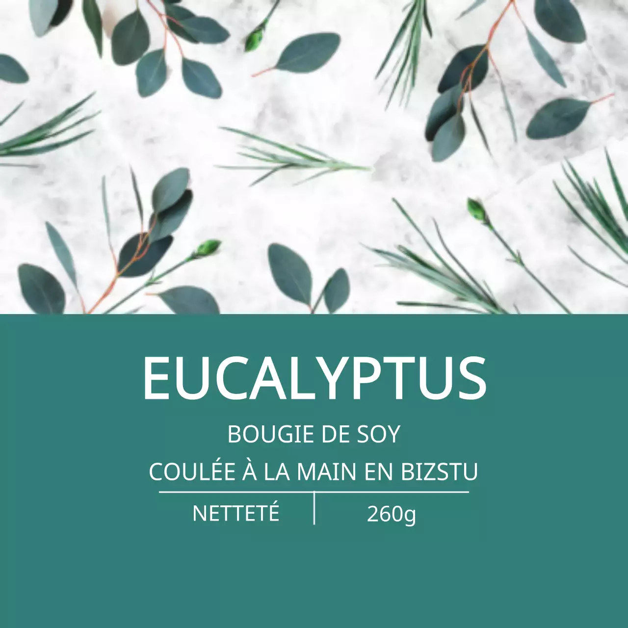 Bougie à l'eucalyptus