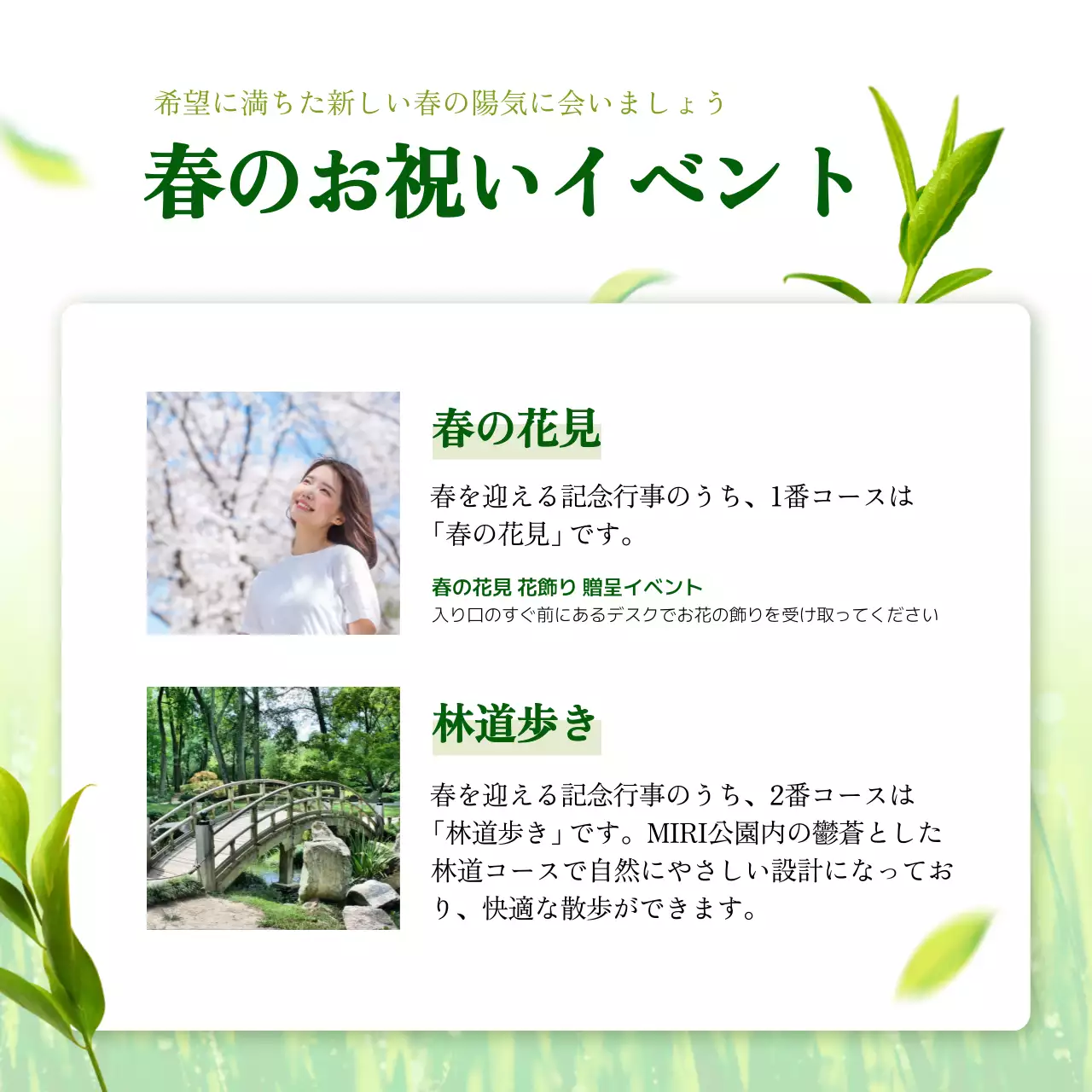 緑 シンプル 春 イベント Instagram投稿