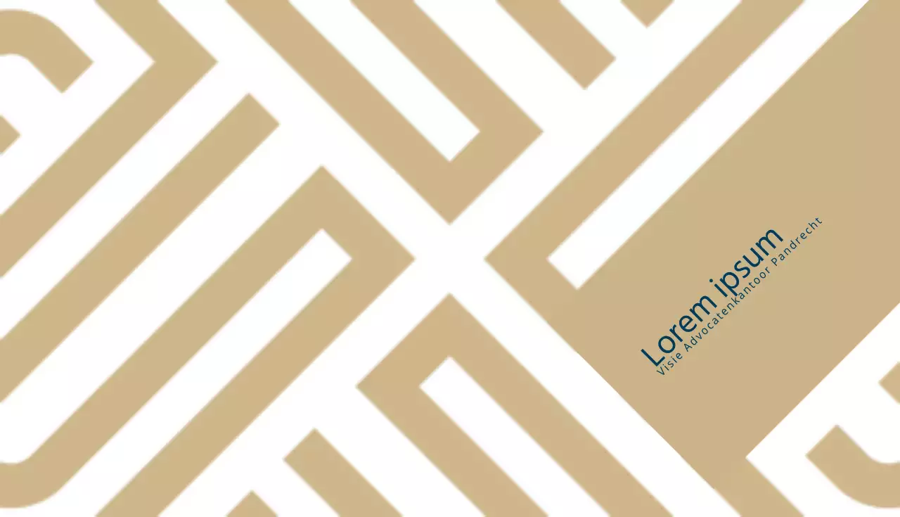 Vision Advocatenkantoor Pandrecht