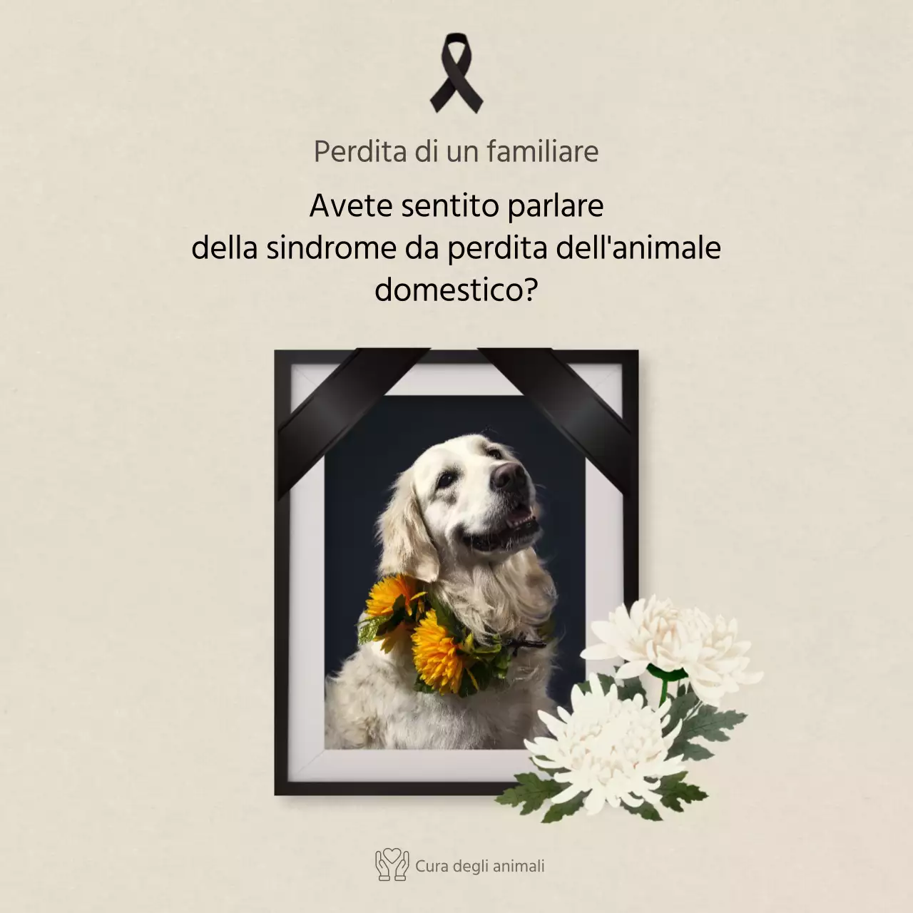 Testo pulito in avorioCarte per animali domesticiNews