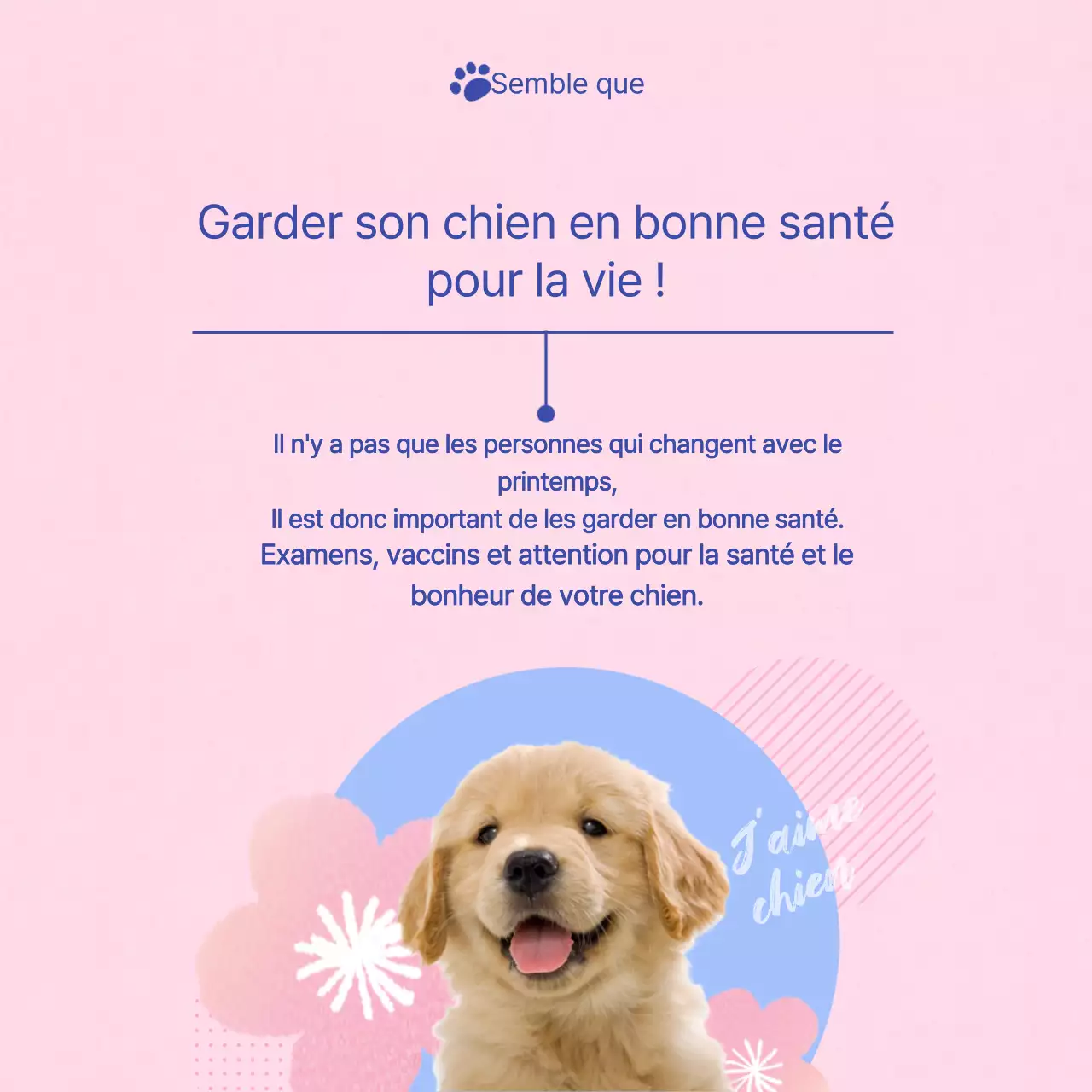 Un guide pour prendre soin de votre chiot rose et bleu clair