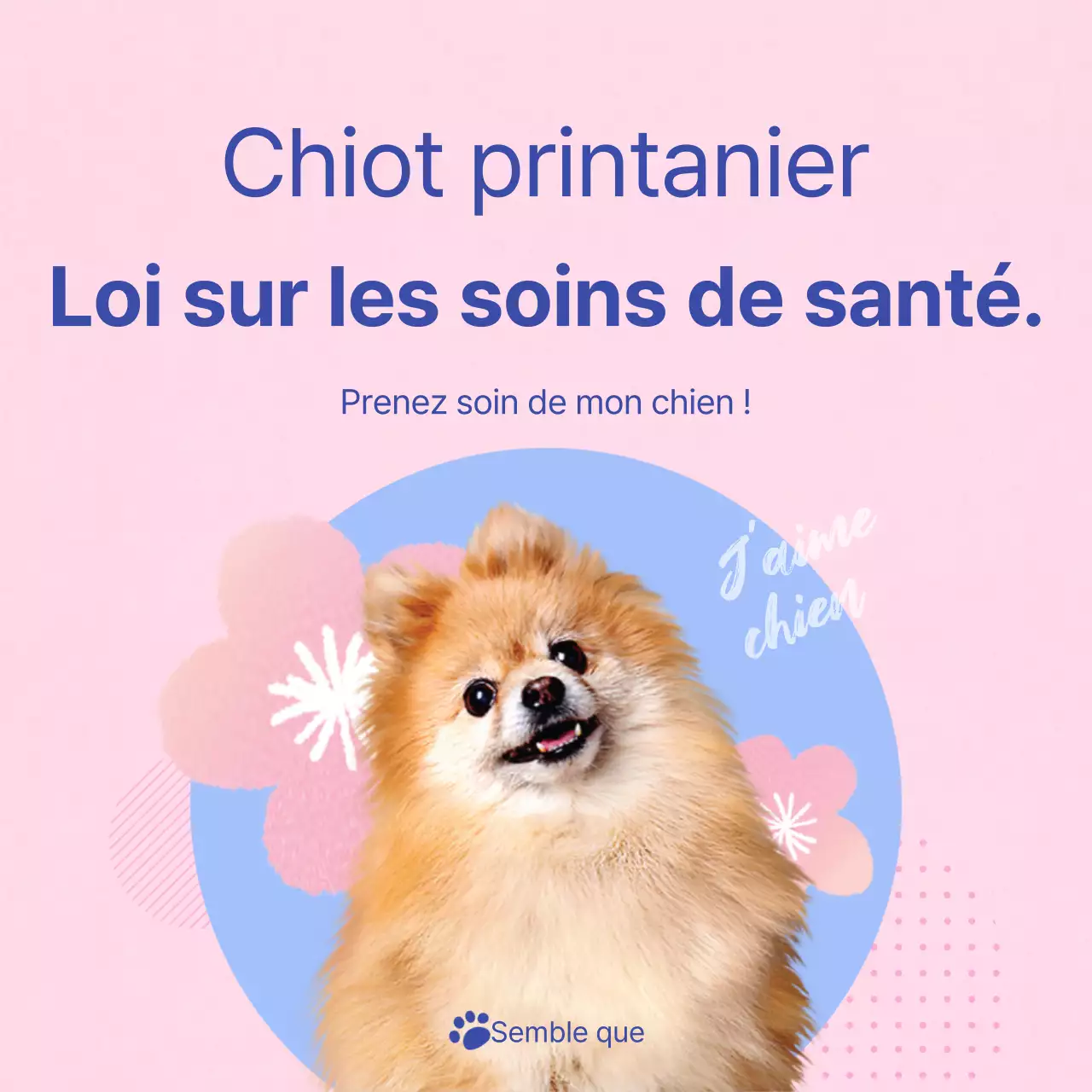 Un guide pour prendre soin de votre chiot rose et bleu clair
