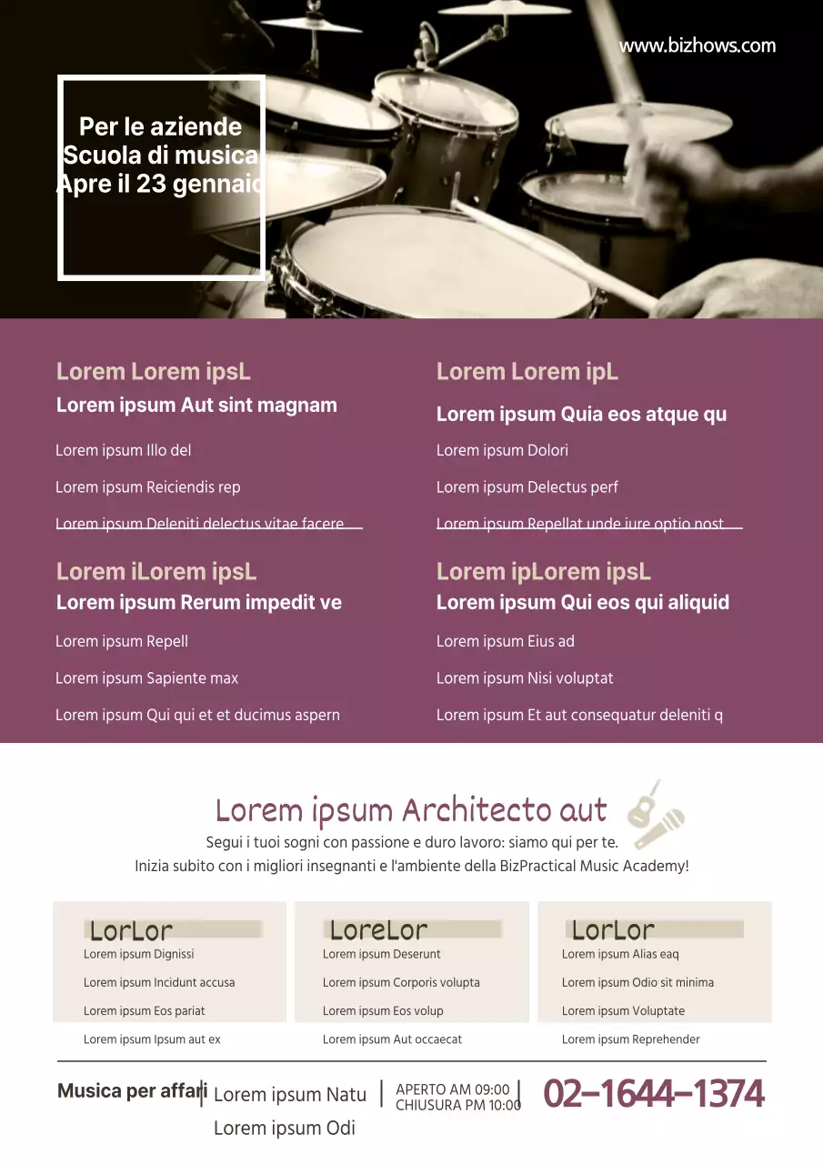 Accademia musicale BizPractical