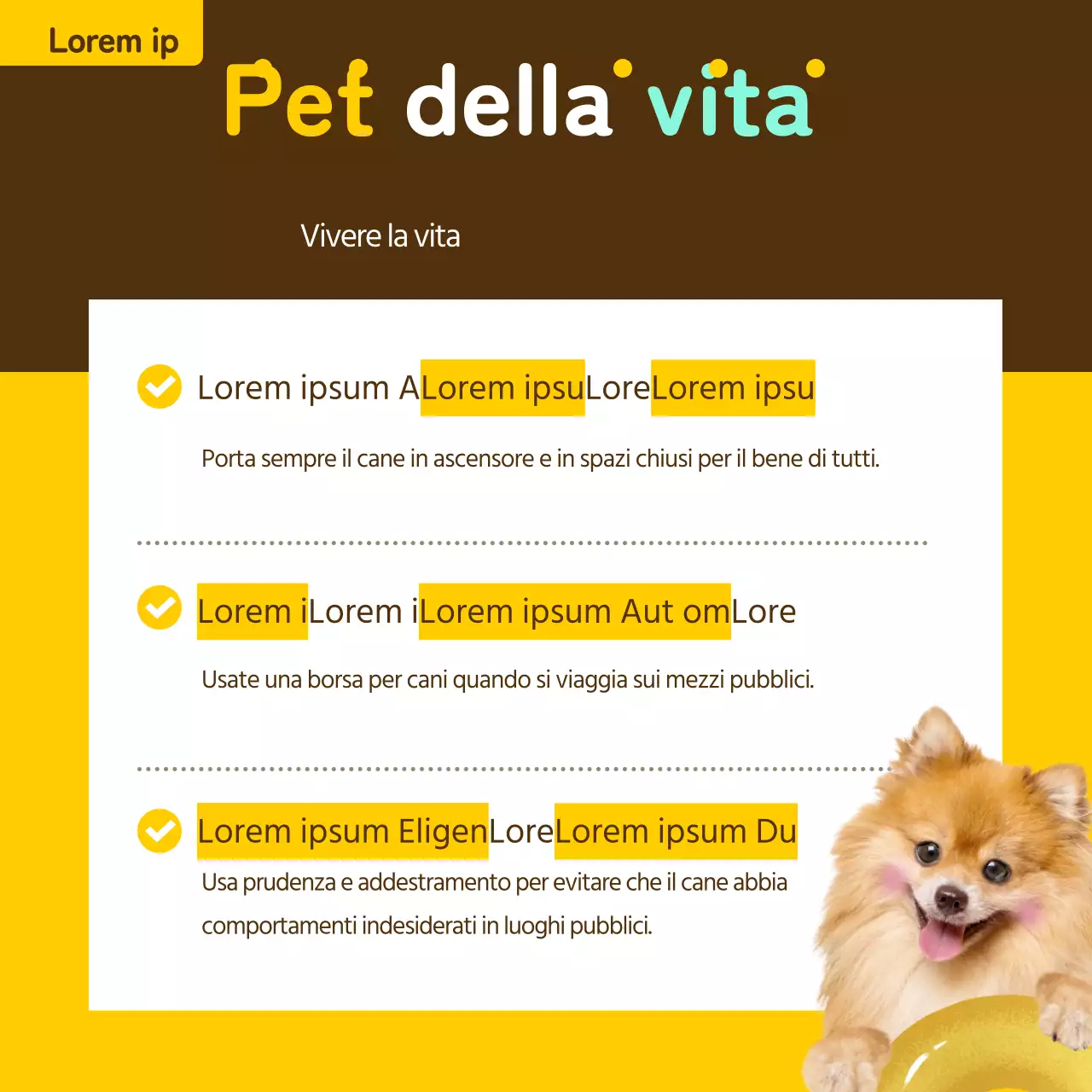 Biglietto informativo per animali domestici in giallo e bronzo