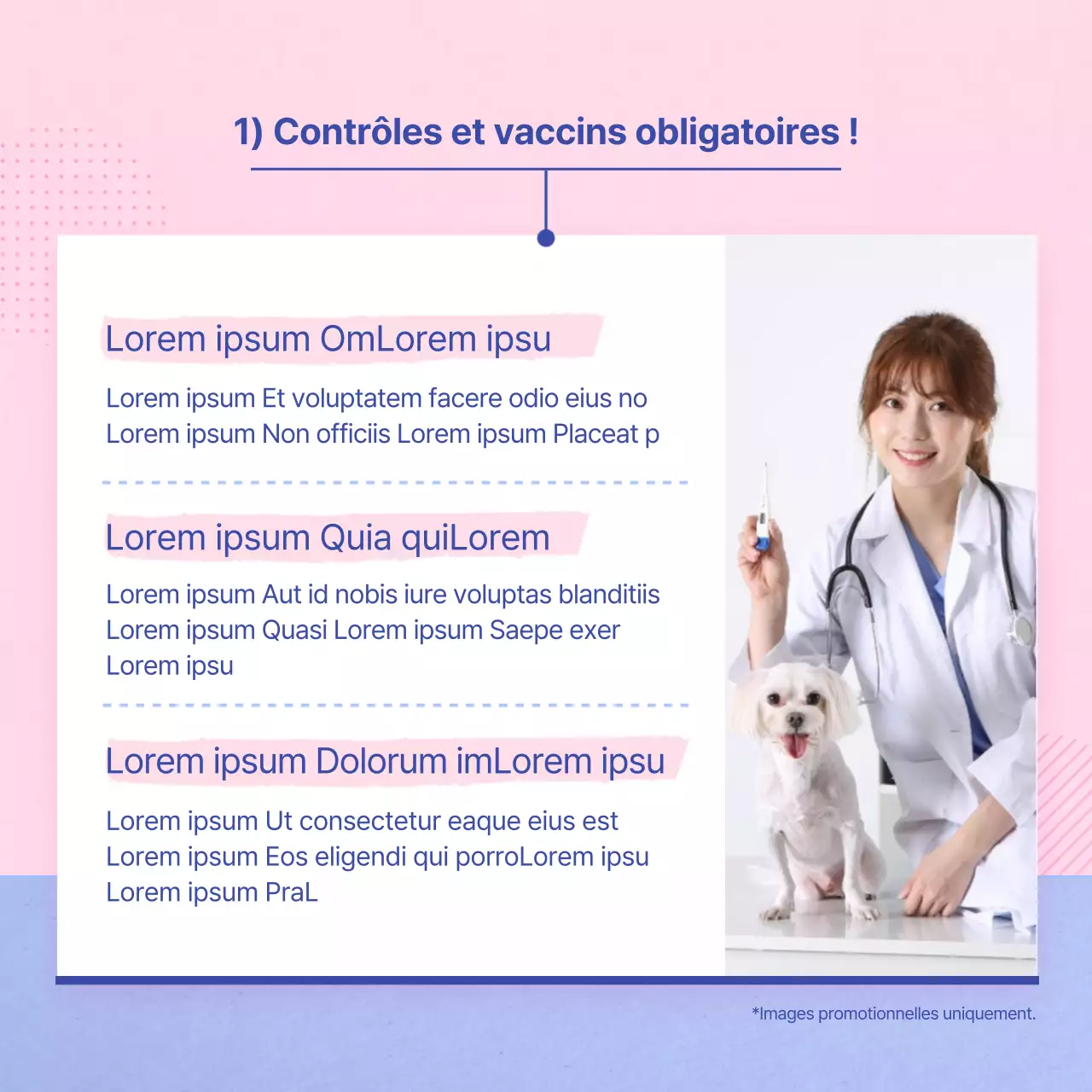 Un guide pour prendre soin de votre chiot rose et bleu clair