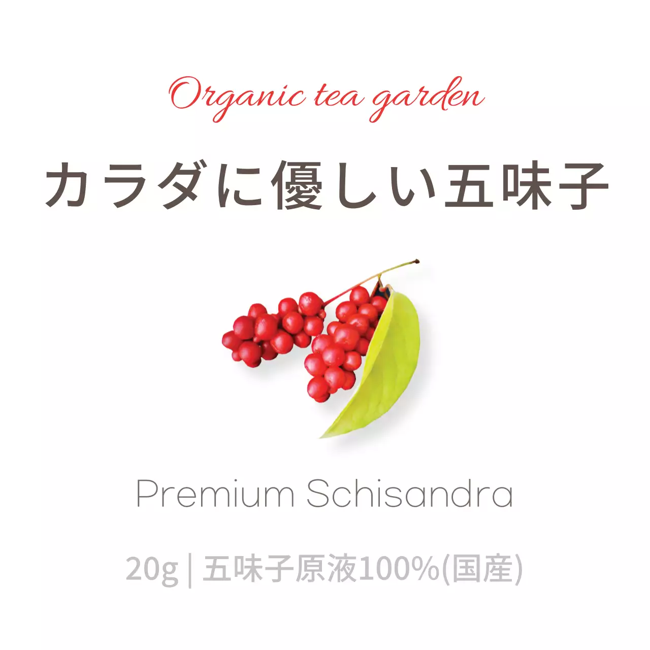 赤のシンプルな烏賊のステッカー