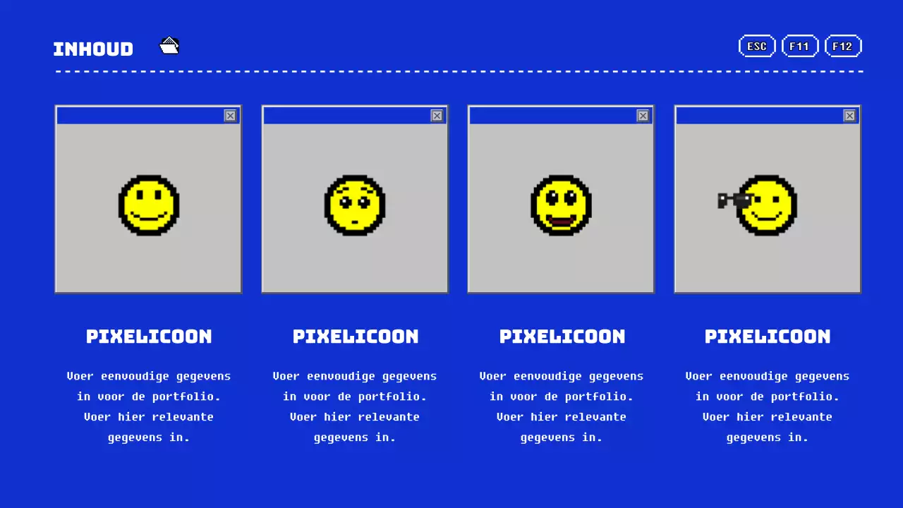 Portfolio presentatie in blauw en geel