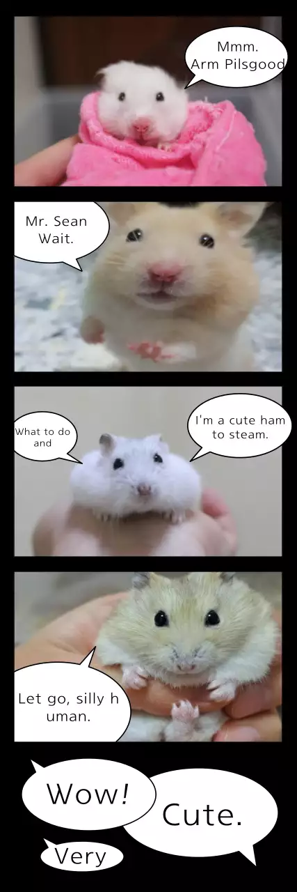 Fotografia de cabeça de um conceito de balão de diálogo em desenho animado