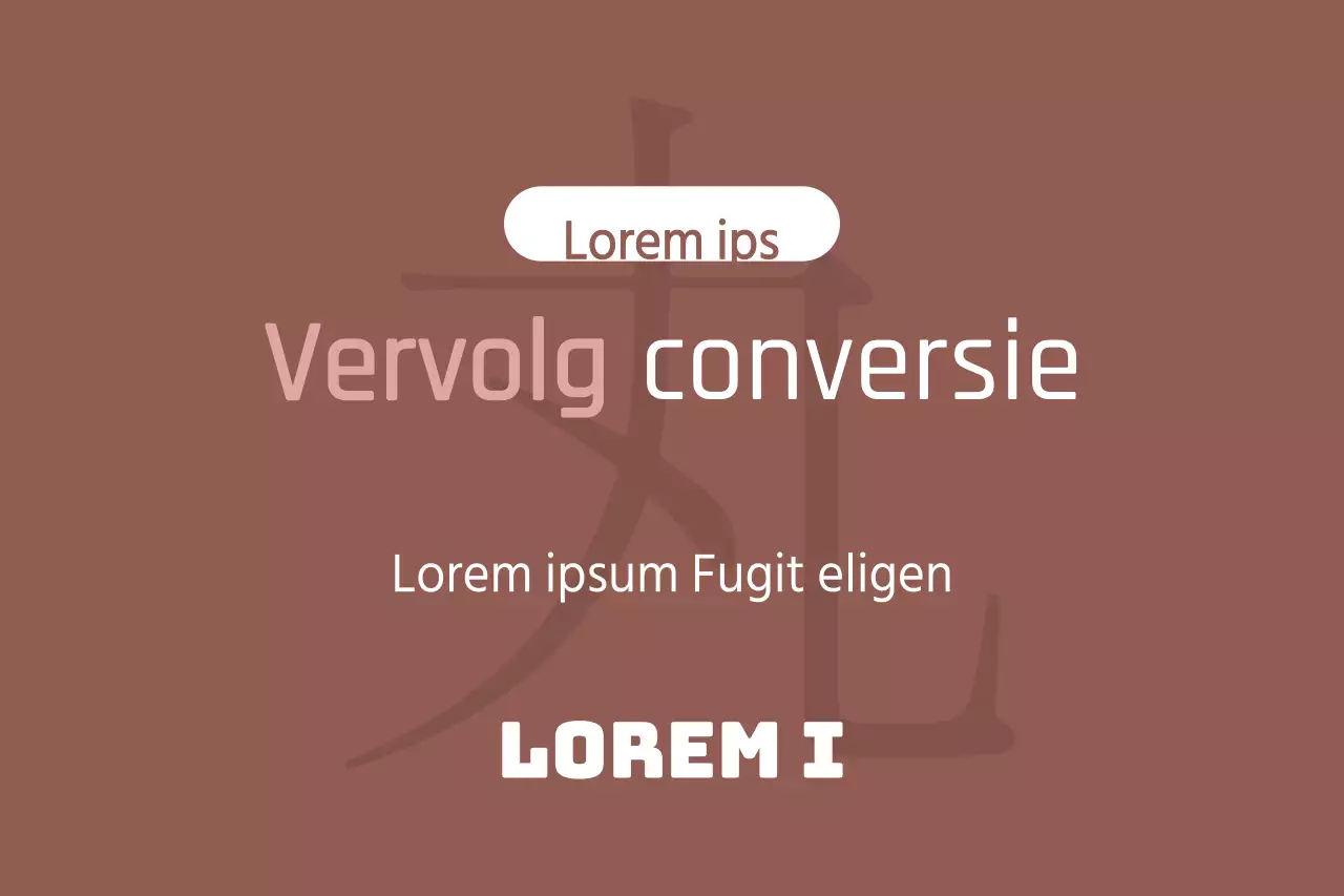 Vervolg conversie