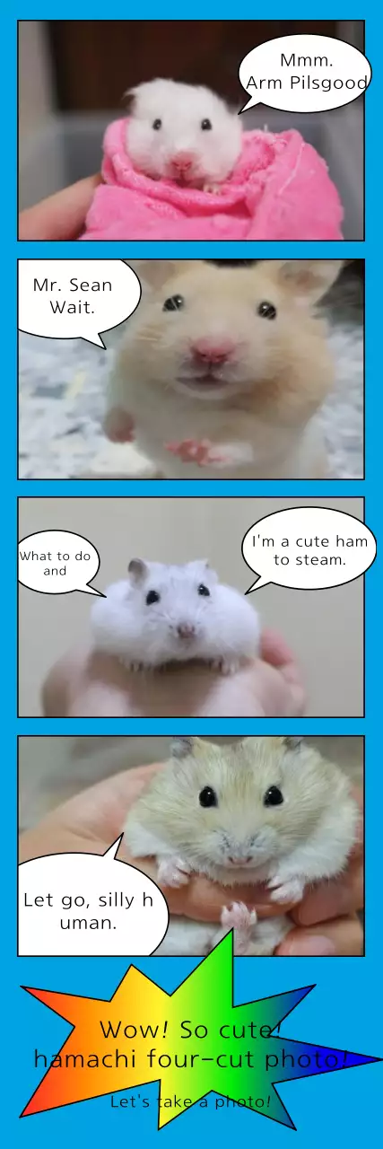 Fotografia de cabeça de um conceito de balão de diálogo em desenho animado