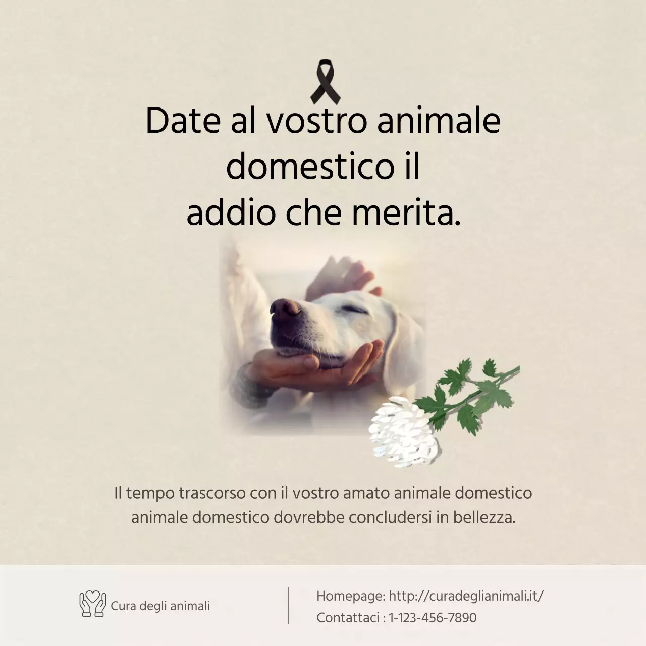Testo pulito in avorioCarte per animali domesticiNews