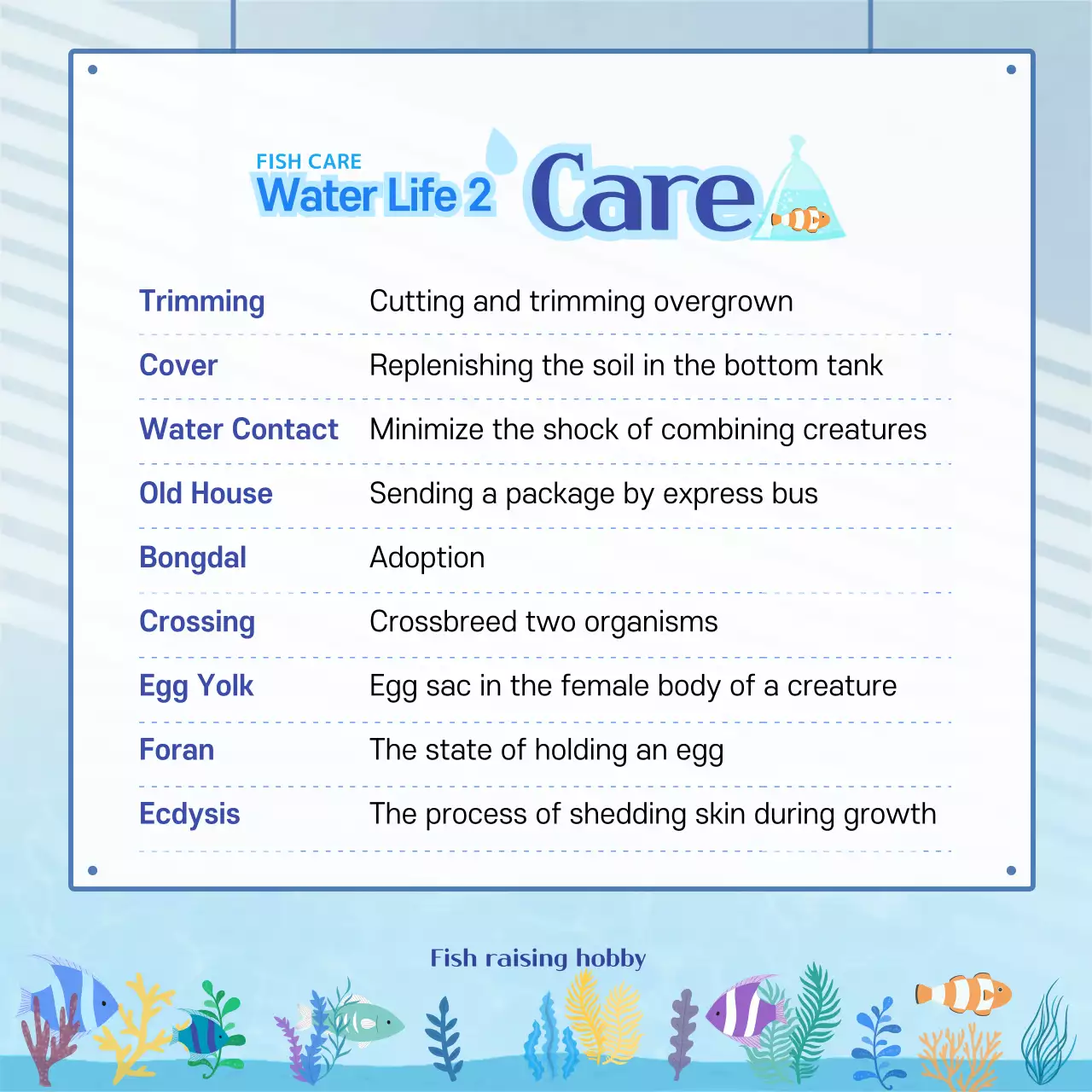 Blue Modern Fish Guide Instagram Carousel