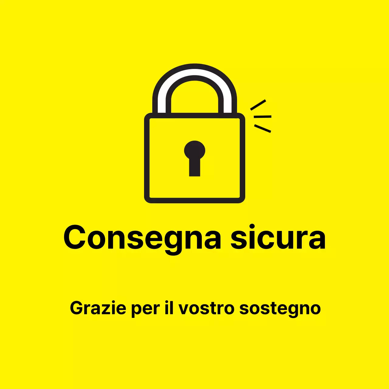 45211_Consegna sicura