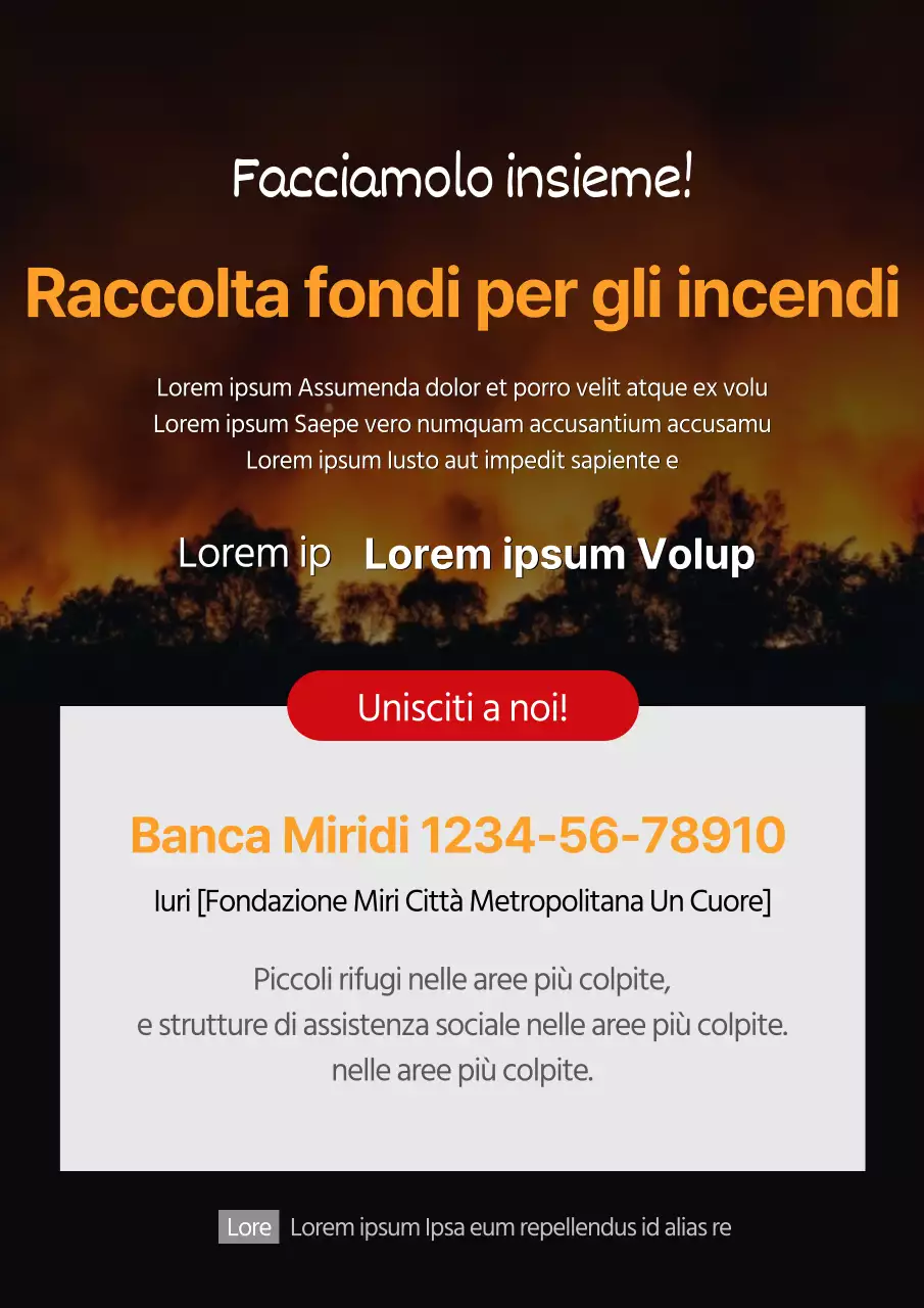 Poster di raccolta fondi per l'incendio selvaggio