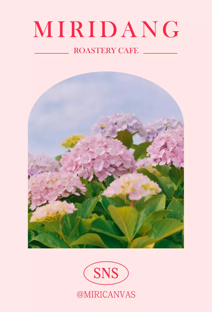 Pink and sentimental photo layout cafe