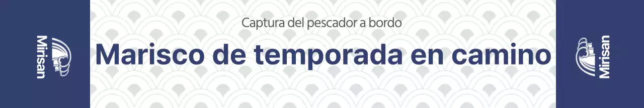 Adhesivos para paquetes