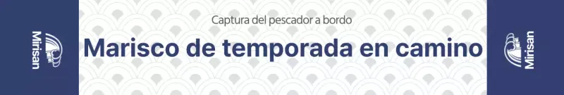 Adhesivos para paquetes