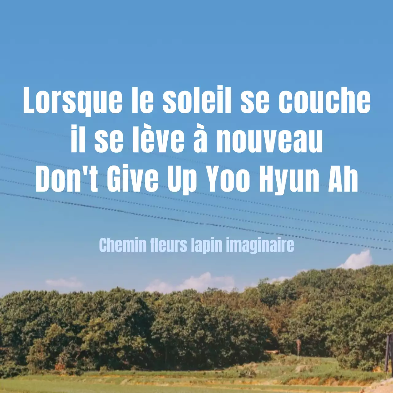 Emoji images sociales