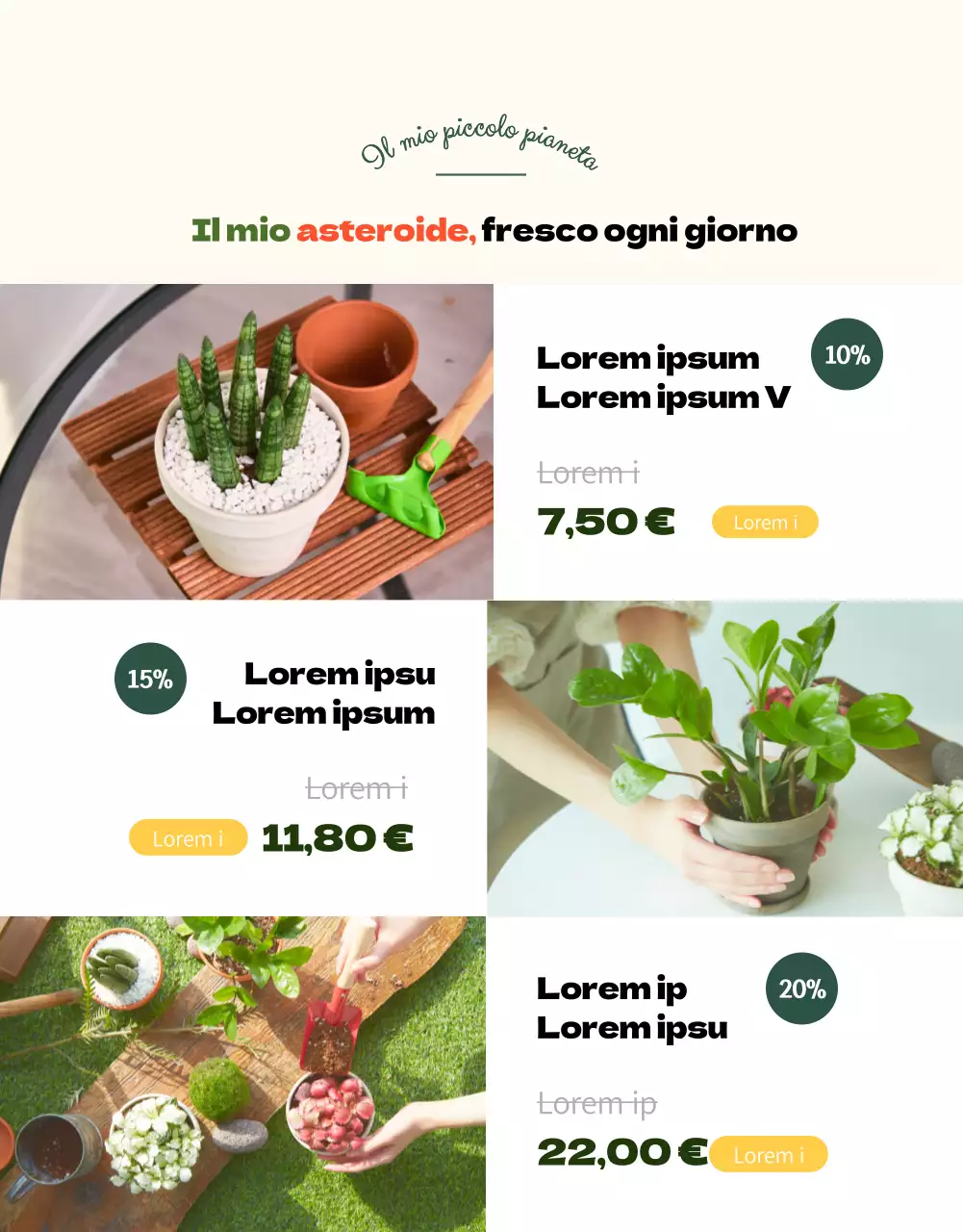 Un negozio specializzato in piante grasse verdi e adorabili (altro)