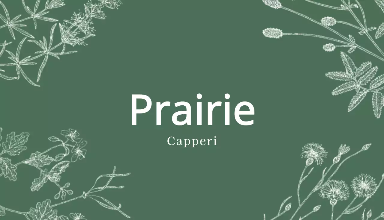 Prairie