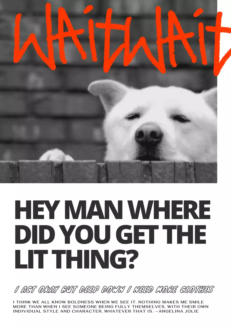 Red Trendy Dog Meme Poster