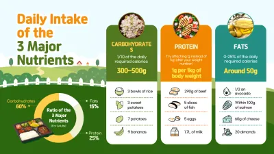 Green Modern Nutrition Guide Infographic
