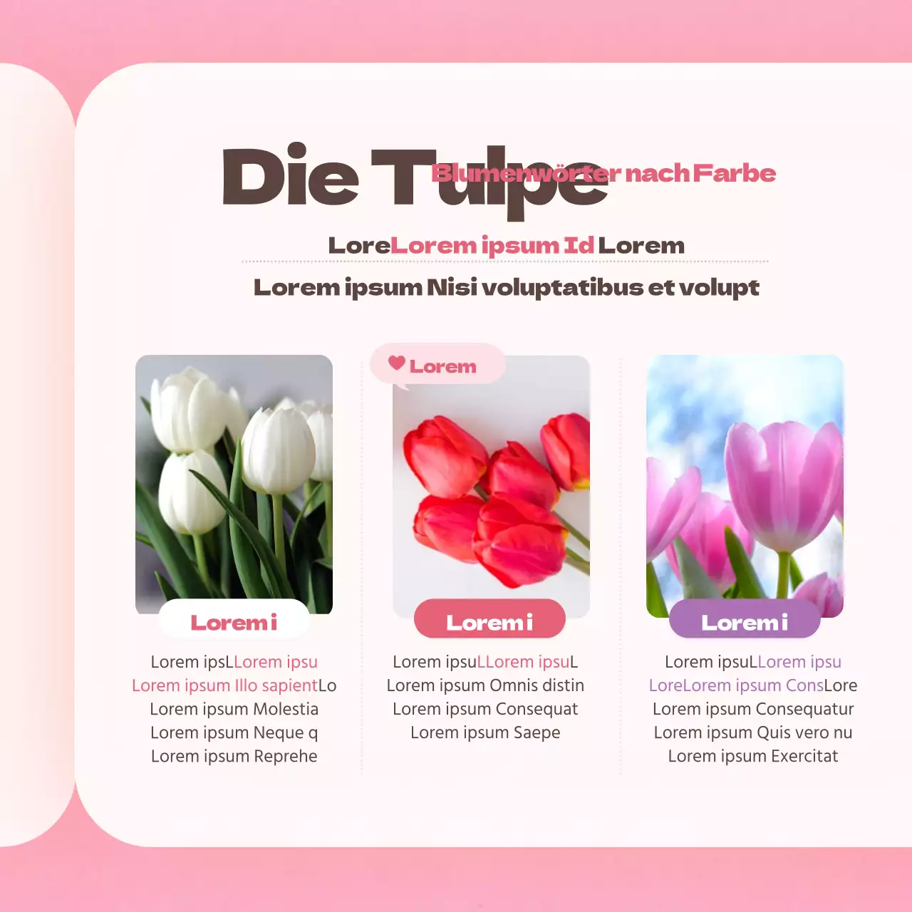 Tulpenblüte in RosaWörterbuchkarteNeues Design