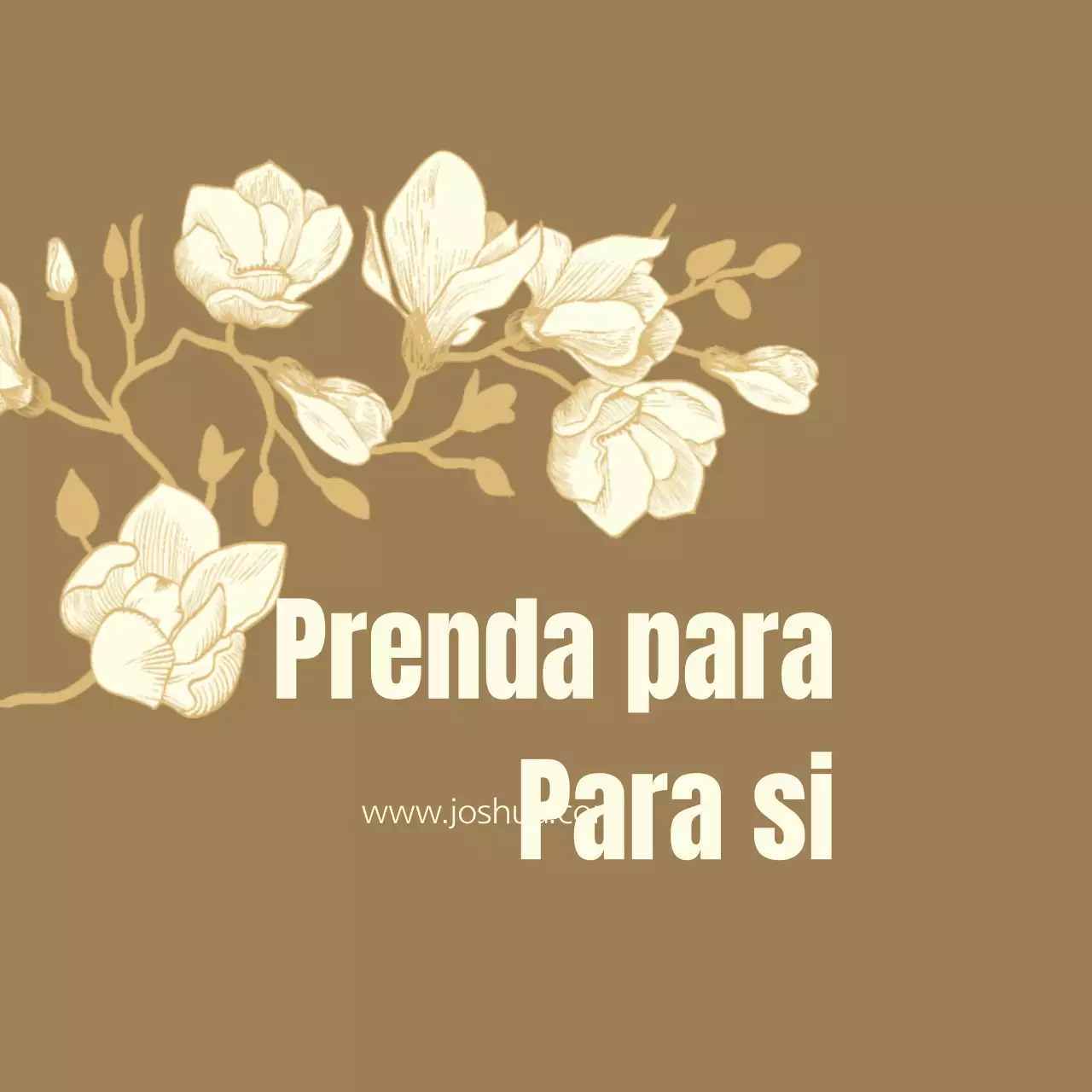Auditoria
