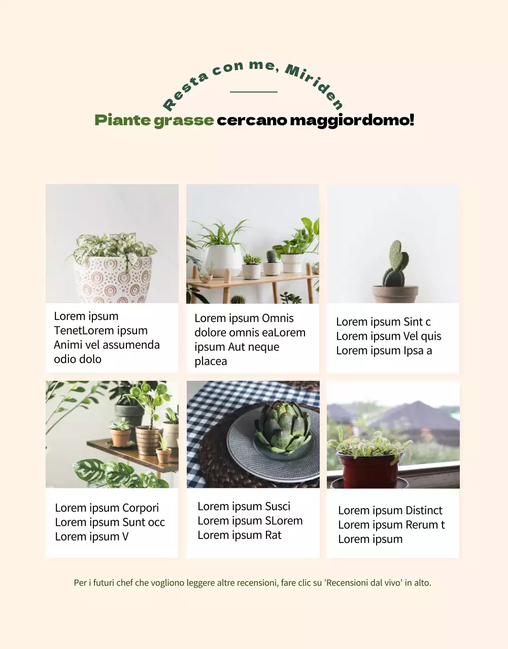 Un negozio specializzato in piante grasse verdi e adorabili (altro)