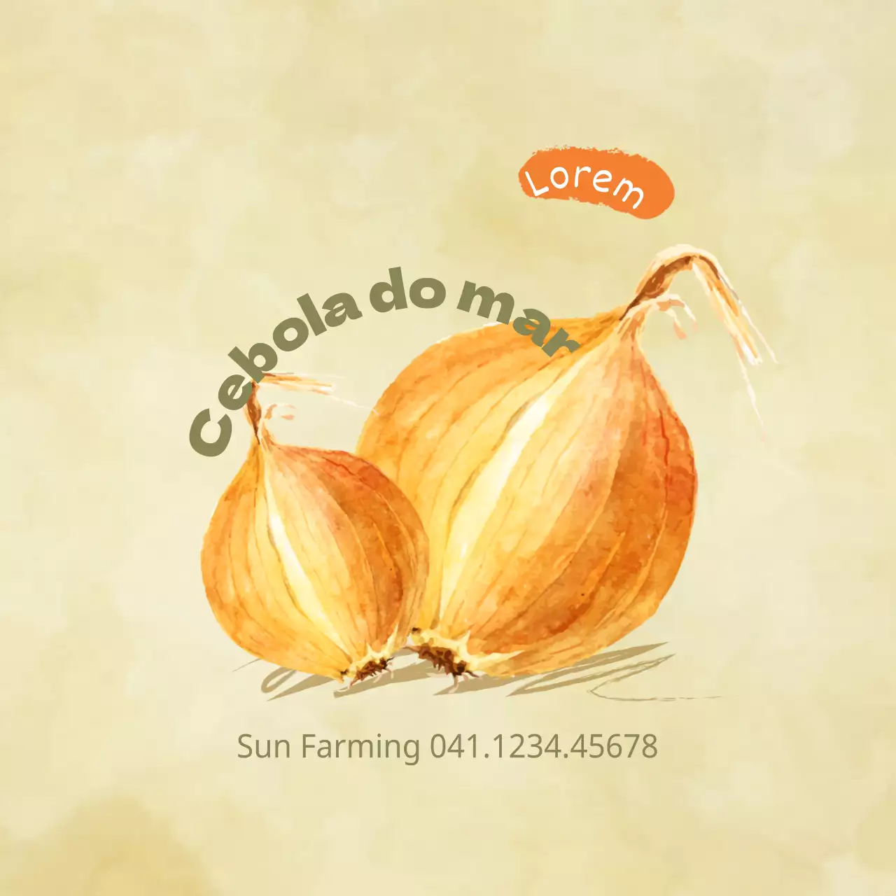 Cebola do mar