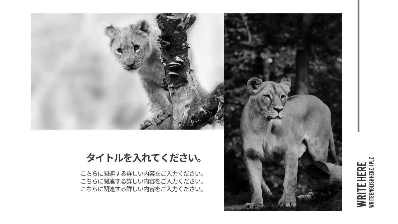 黒 シンプル 動物 プレゼンテーション