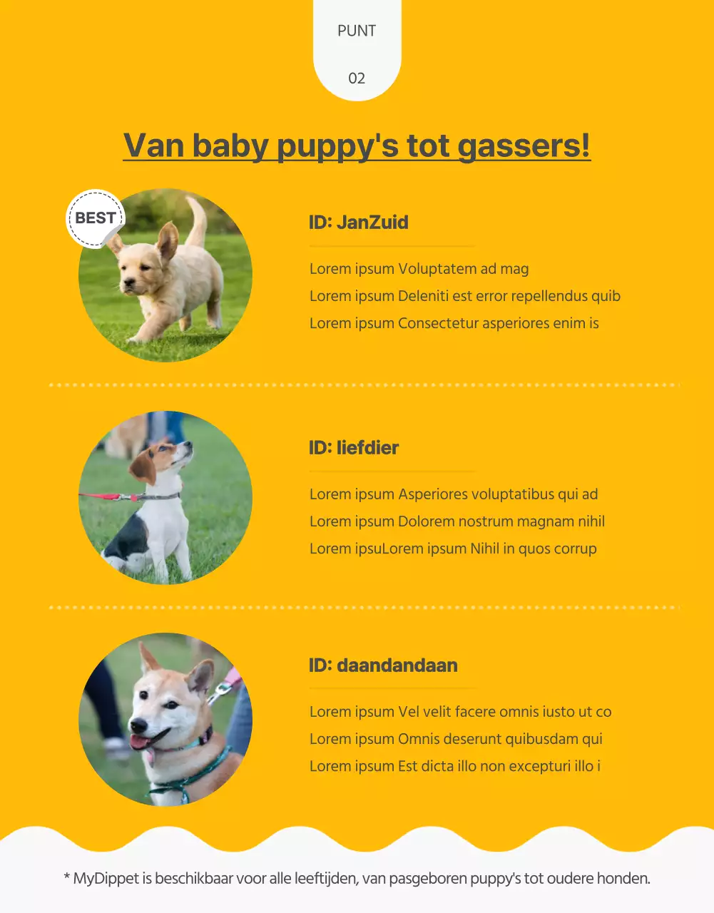 Over zelfgemaakte traktaties voor huisdieren met een knal geel en groen