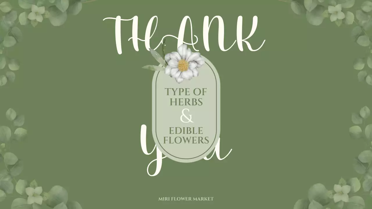 緑 ナチュラル 図鑑 資料 プレゼンテーション