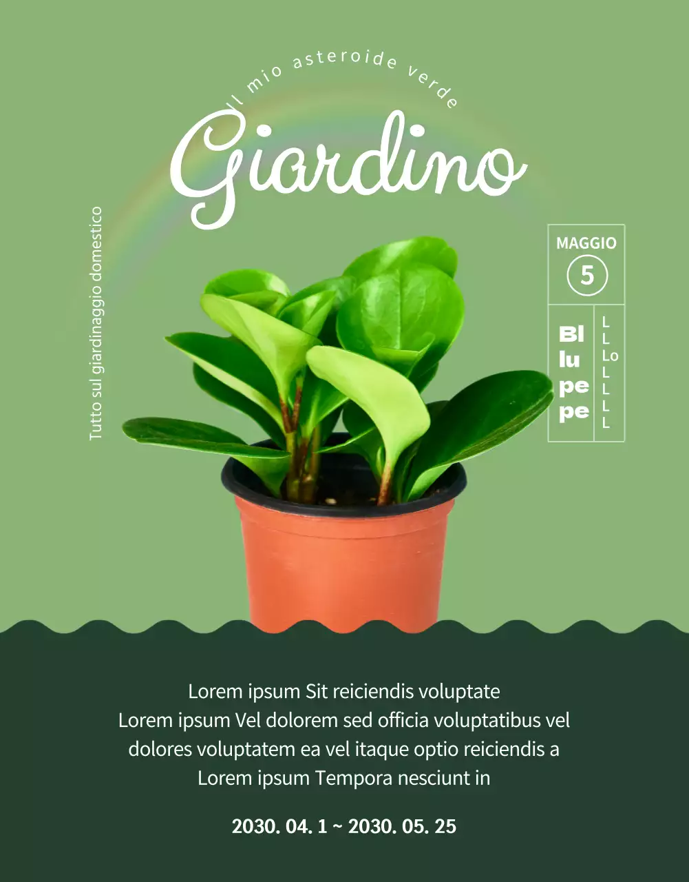 Un negozio specializzato in piante grasse verdi e adorabili (altro)