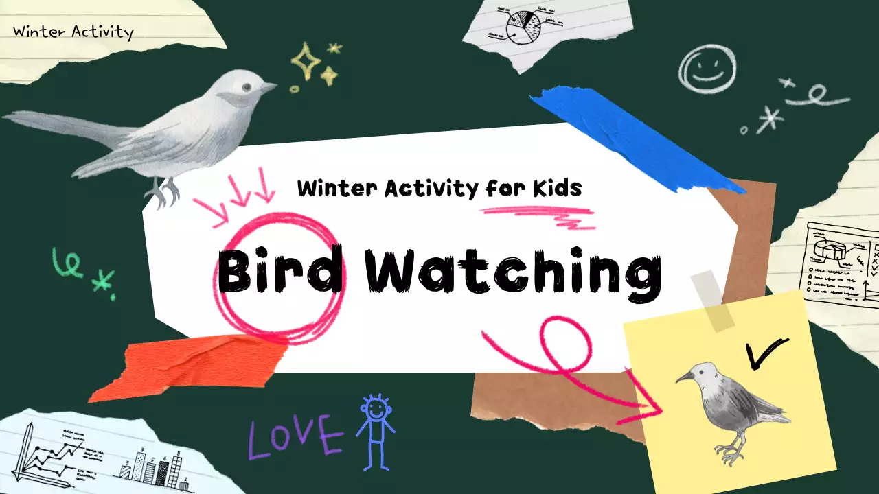 Green Playful Bird Guide 유튜브 썸네일