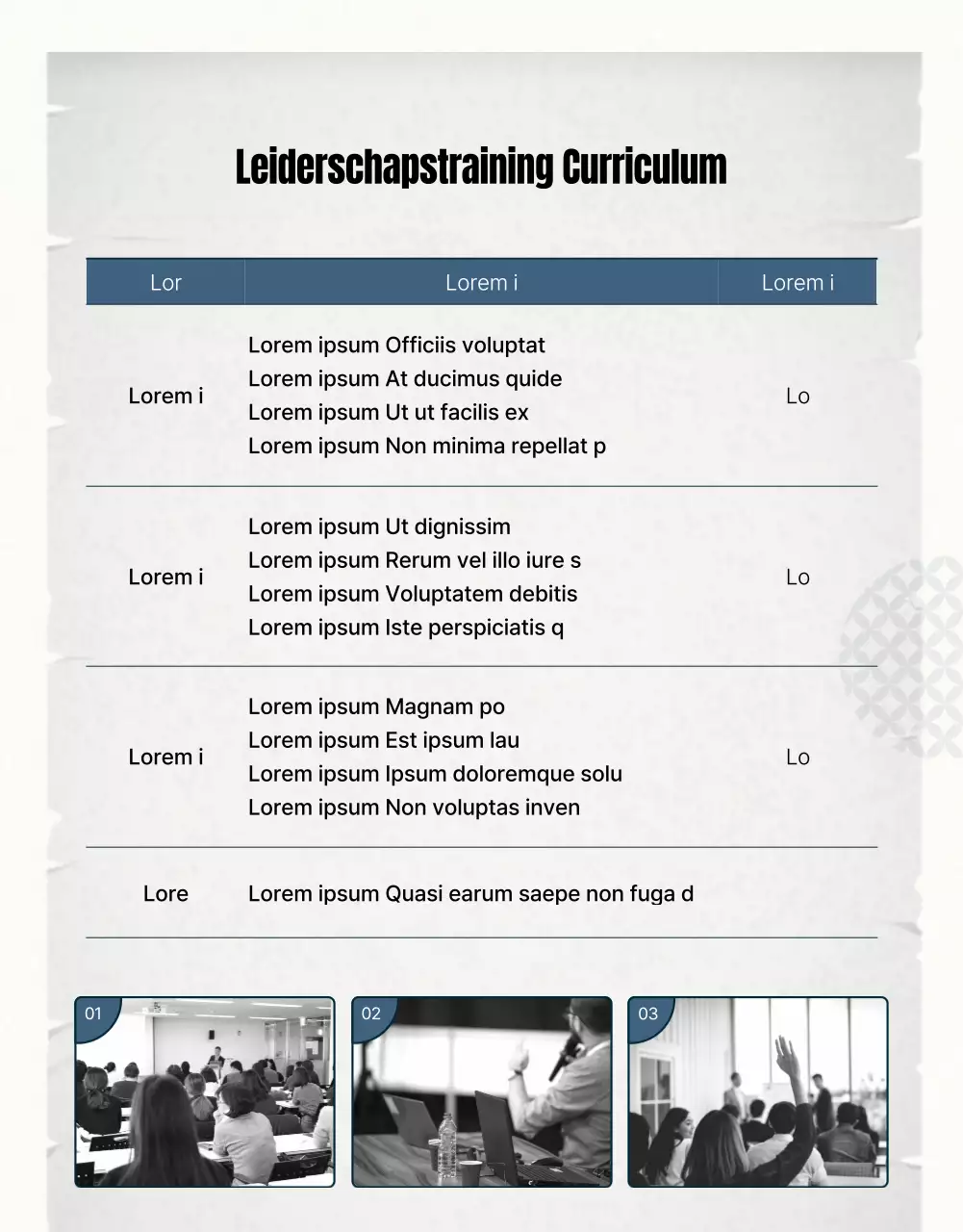 Handleiding voor training in blauw en grijs leiderschap