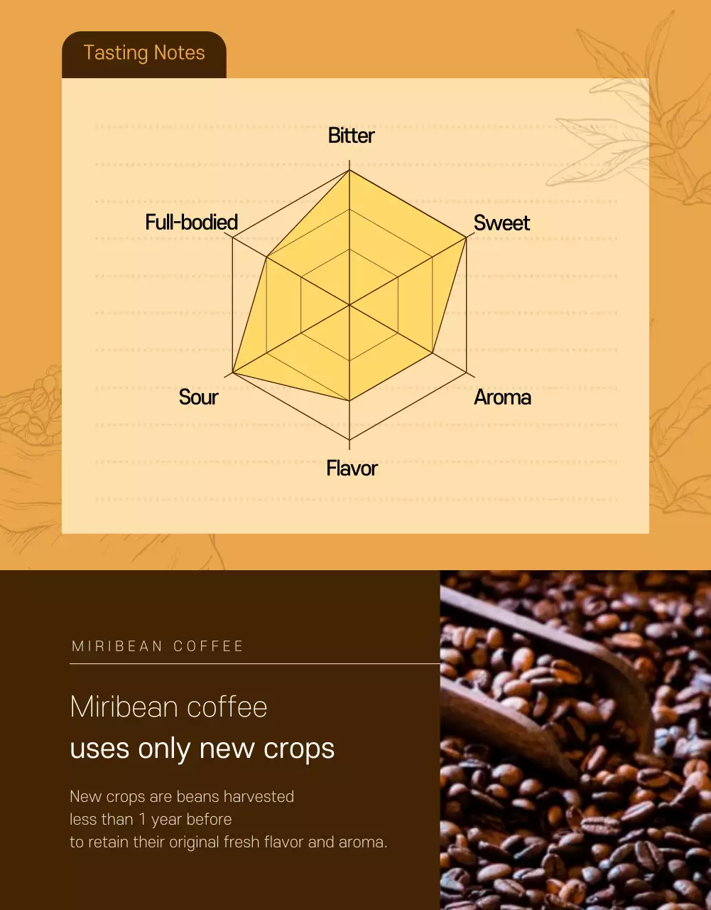 Beans of Black detail page