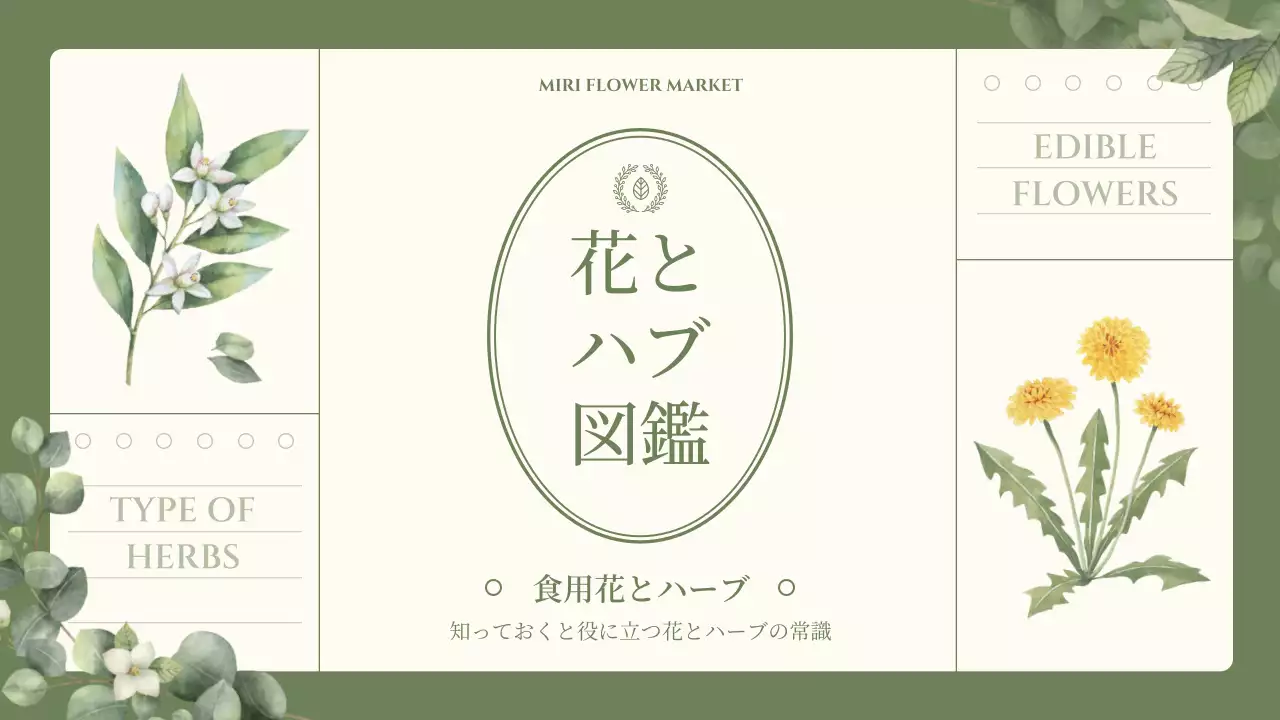 緑 ナチュラル 図鑑 資料 プレゼンテーション