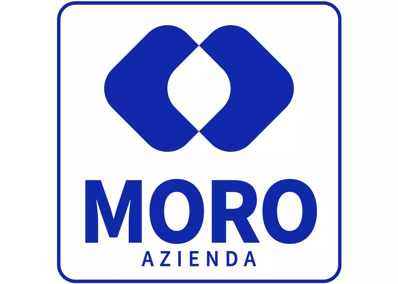 Logo aziendale semplice in bianco e blu navy