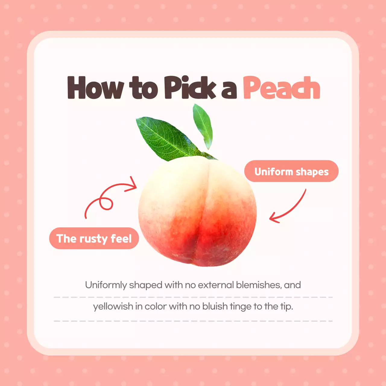 Tips for choosing pink, pretty, and delicious peaches