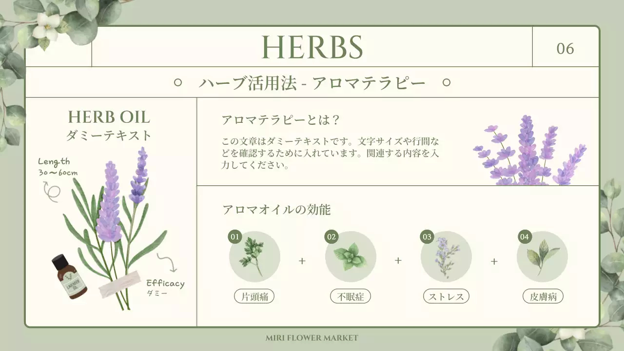 緑 ナチュラル 図鑑 資料 プレゼンテーション