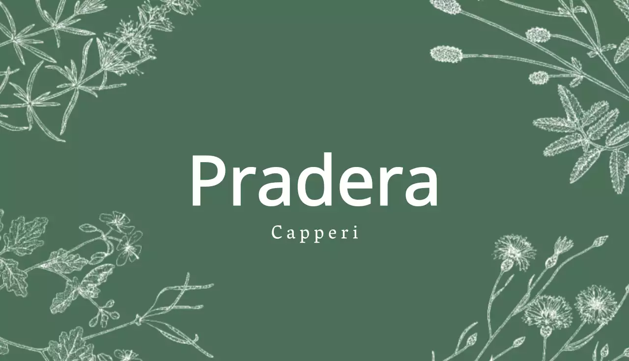Pradera