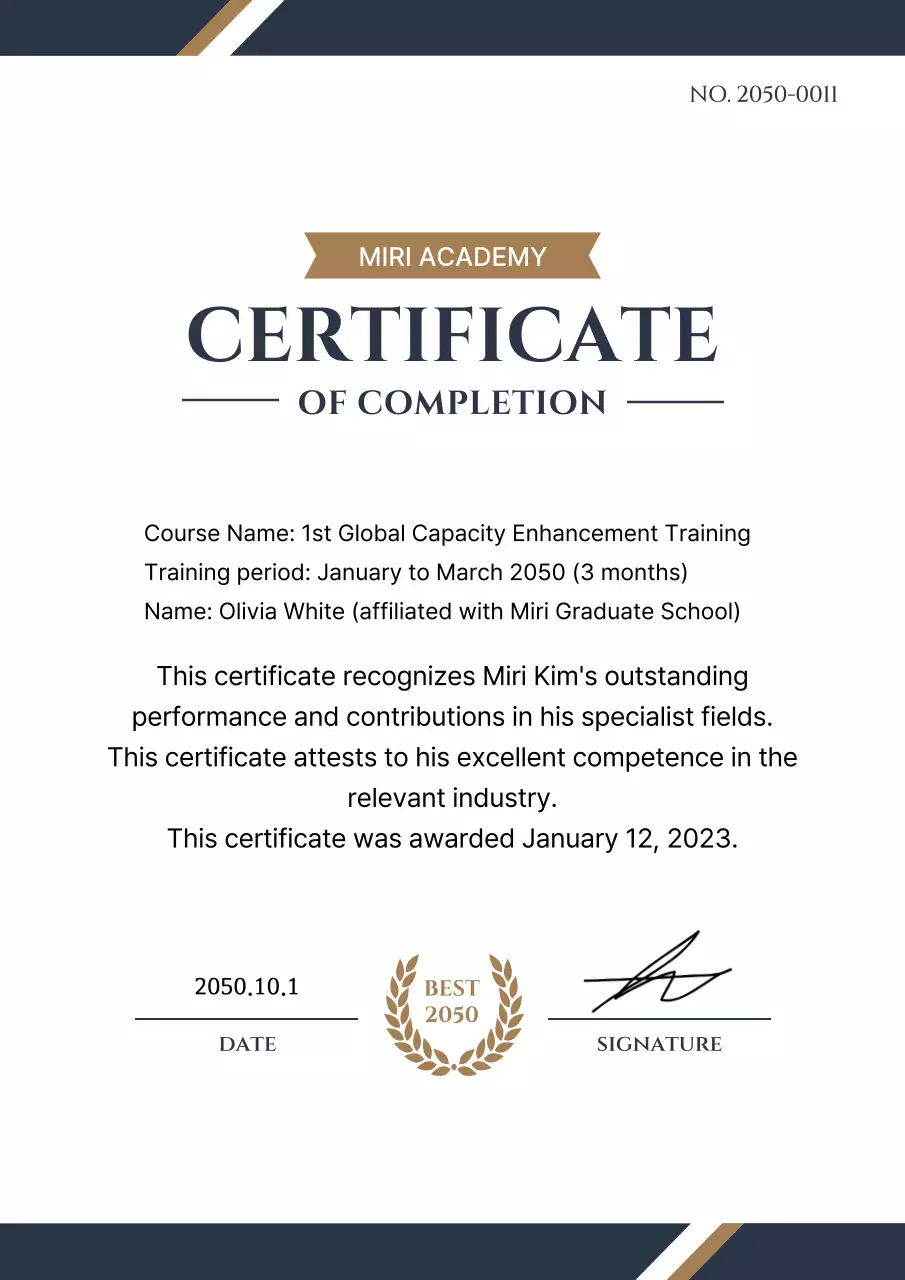 Training certificate documents with a classy look in navy and gold colors