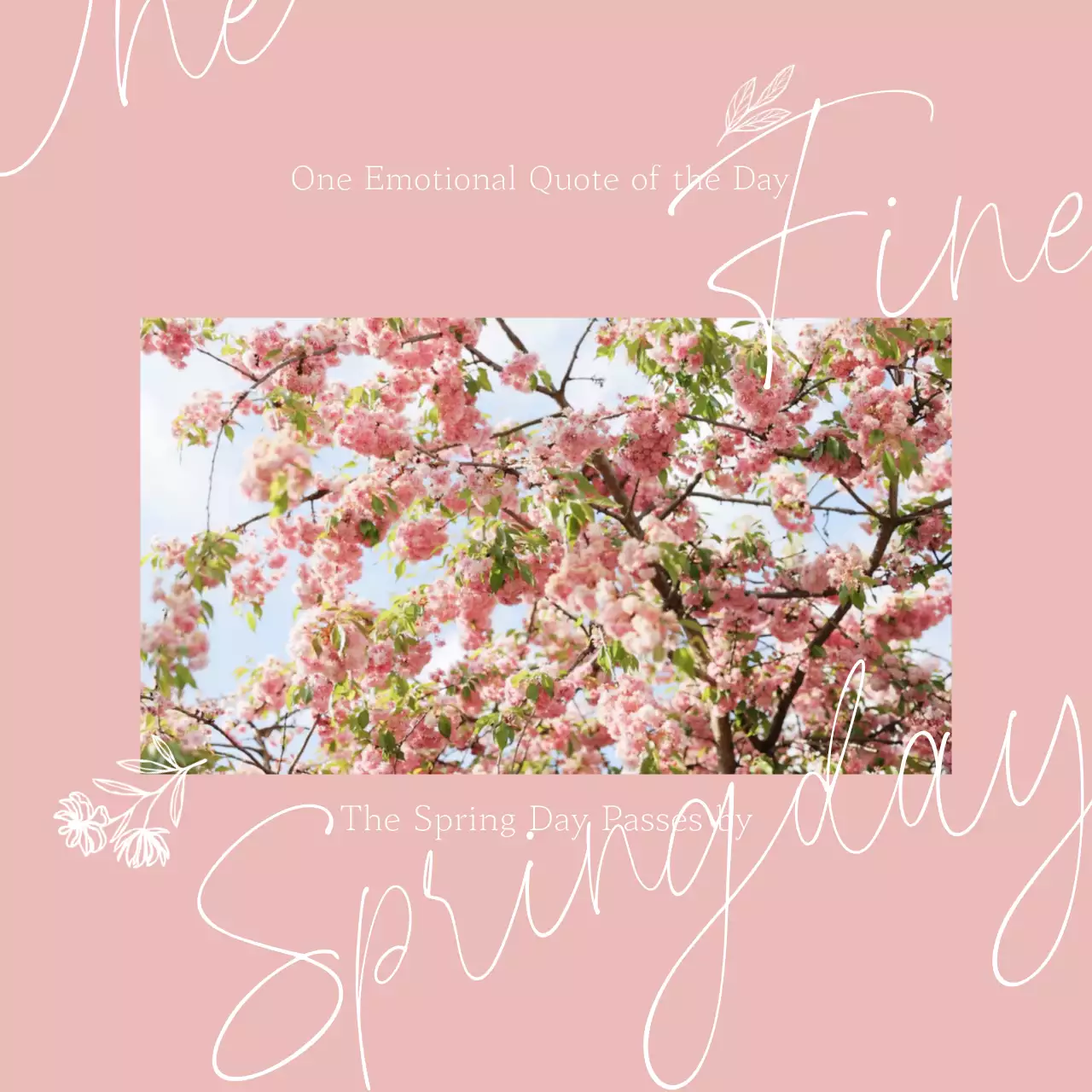 핑크색 배경에 감성적인 손글씨 느낌의 벚꽃 동영상