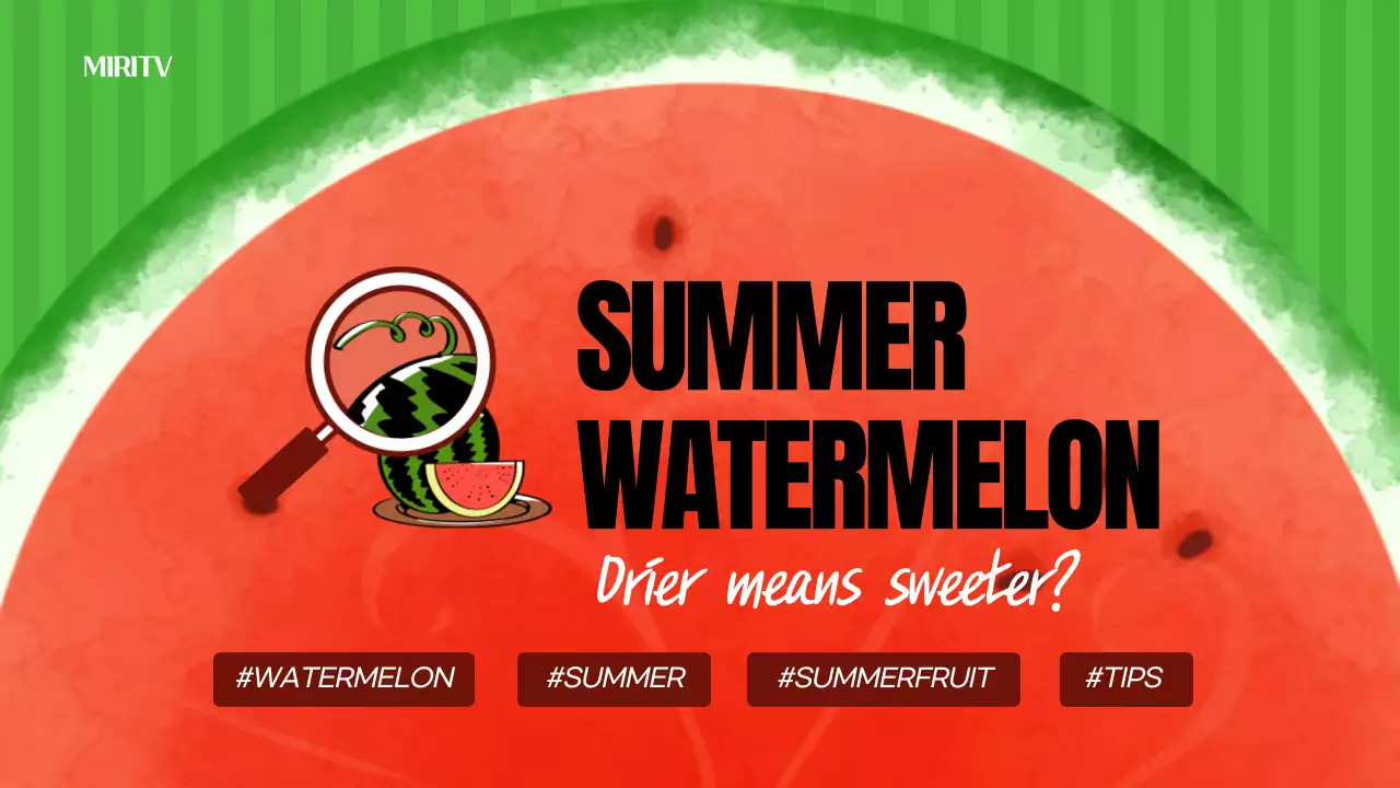 Green Retro Watermelon Promotion YouTube Thumbnail