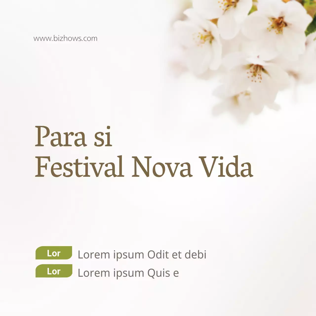 Festival Vida Nova