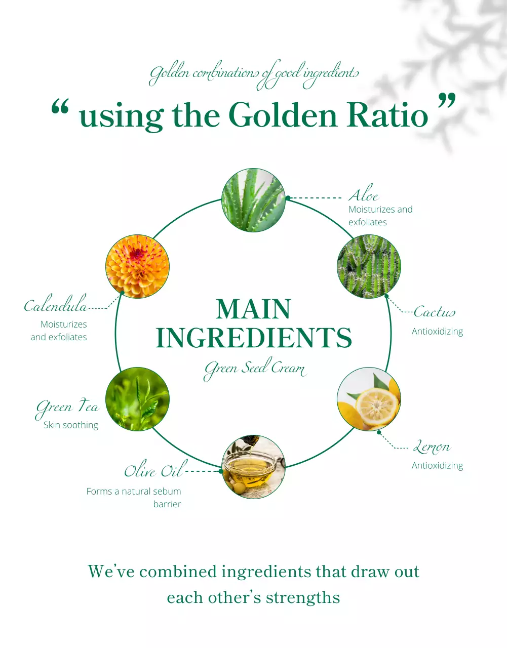 Wadiz Detail Page_Beauty