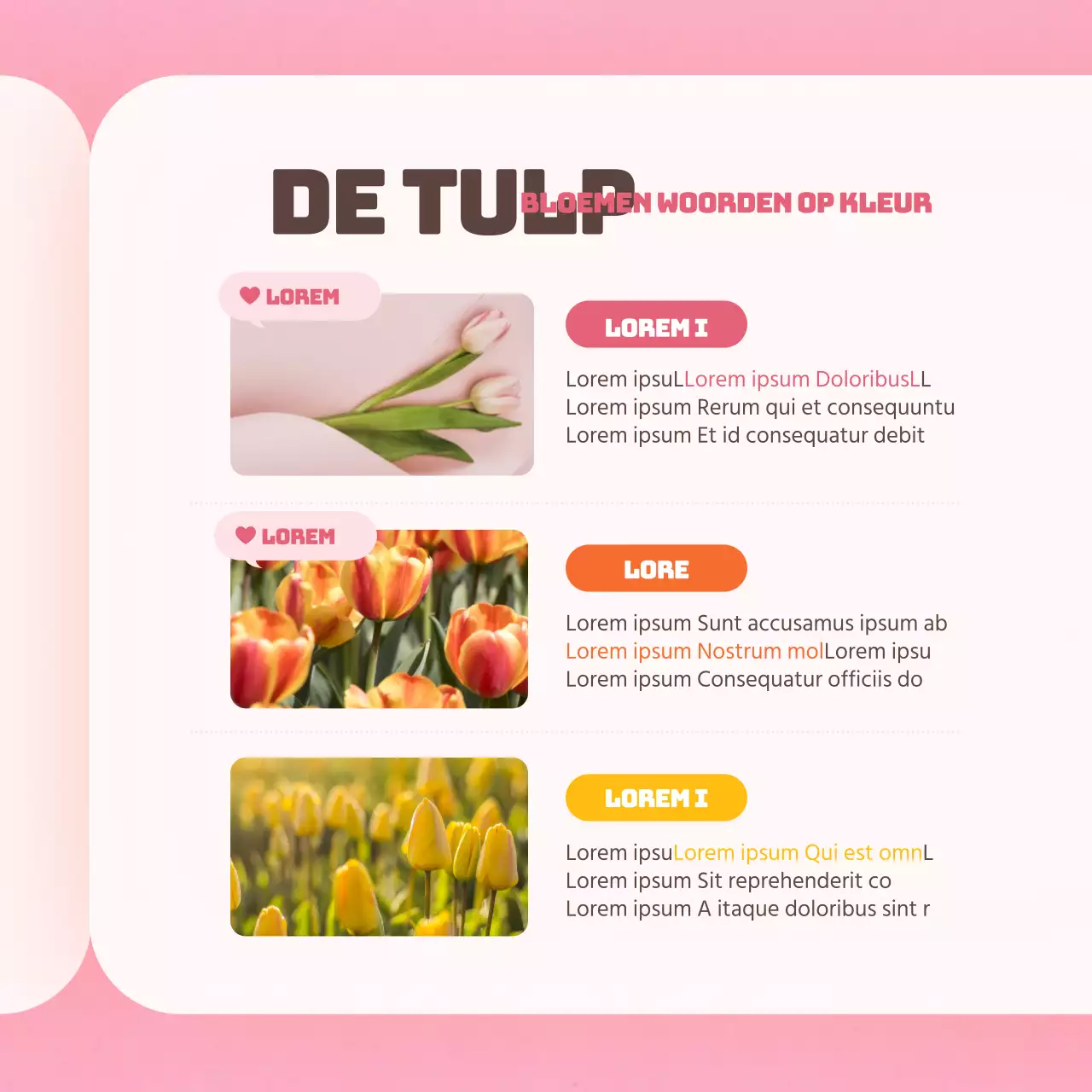 Tulp bloem in rozeWoordenboekkaartNieuws ontwerp