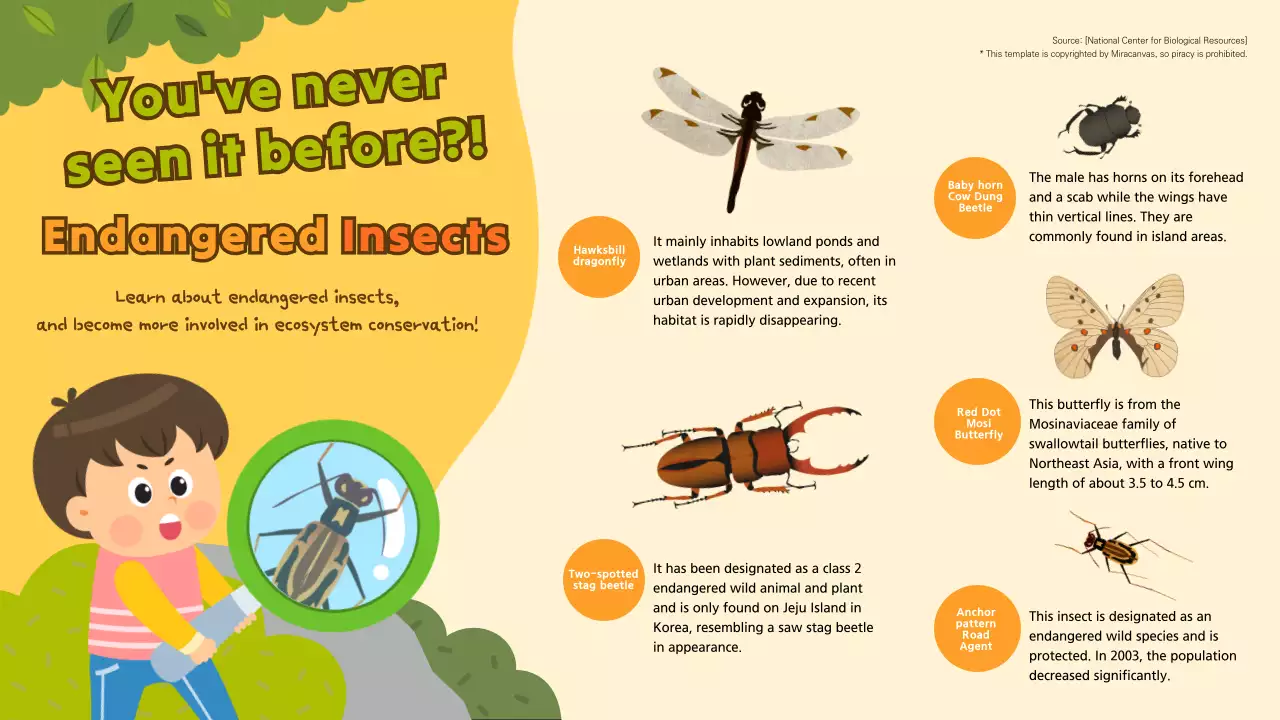 Yellow Educational Insects Guide Infographic